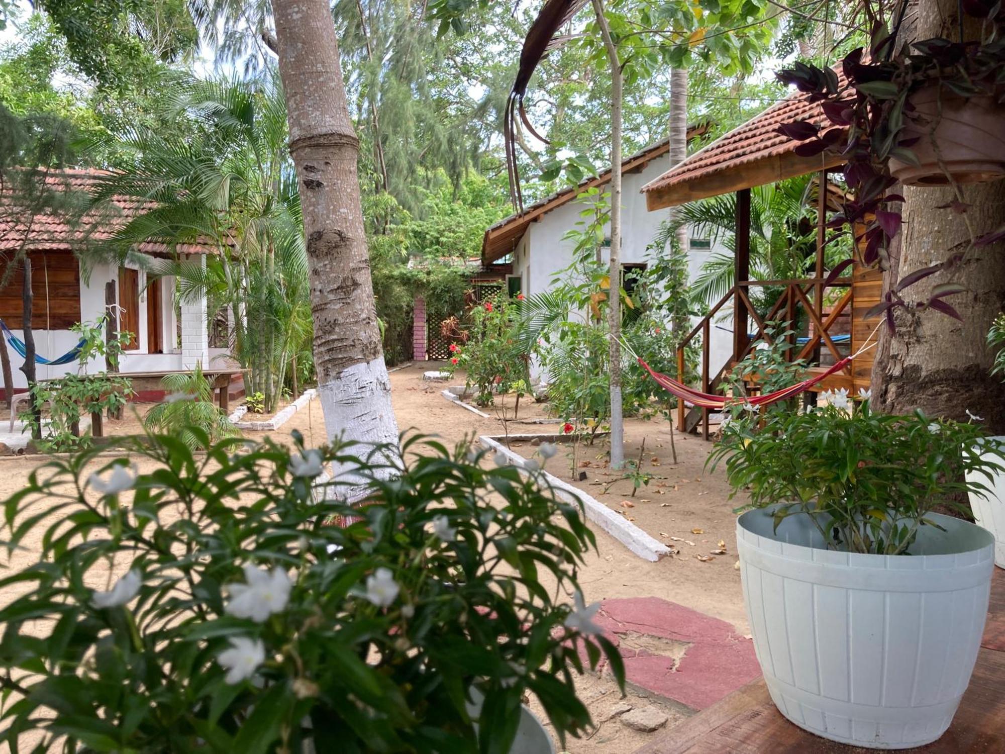 River Point Cabana At Arugambay بوتوفيل المظهر الخارجي الصورة