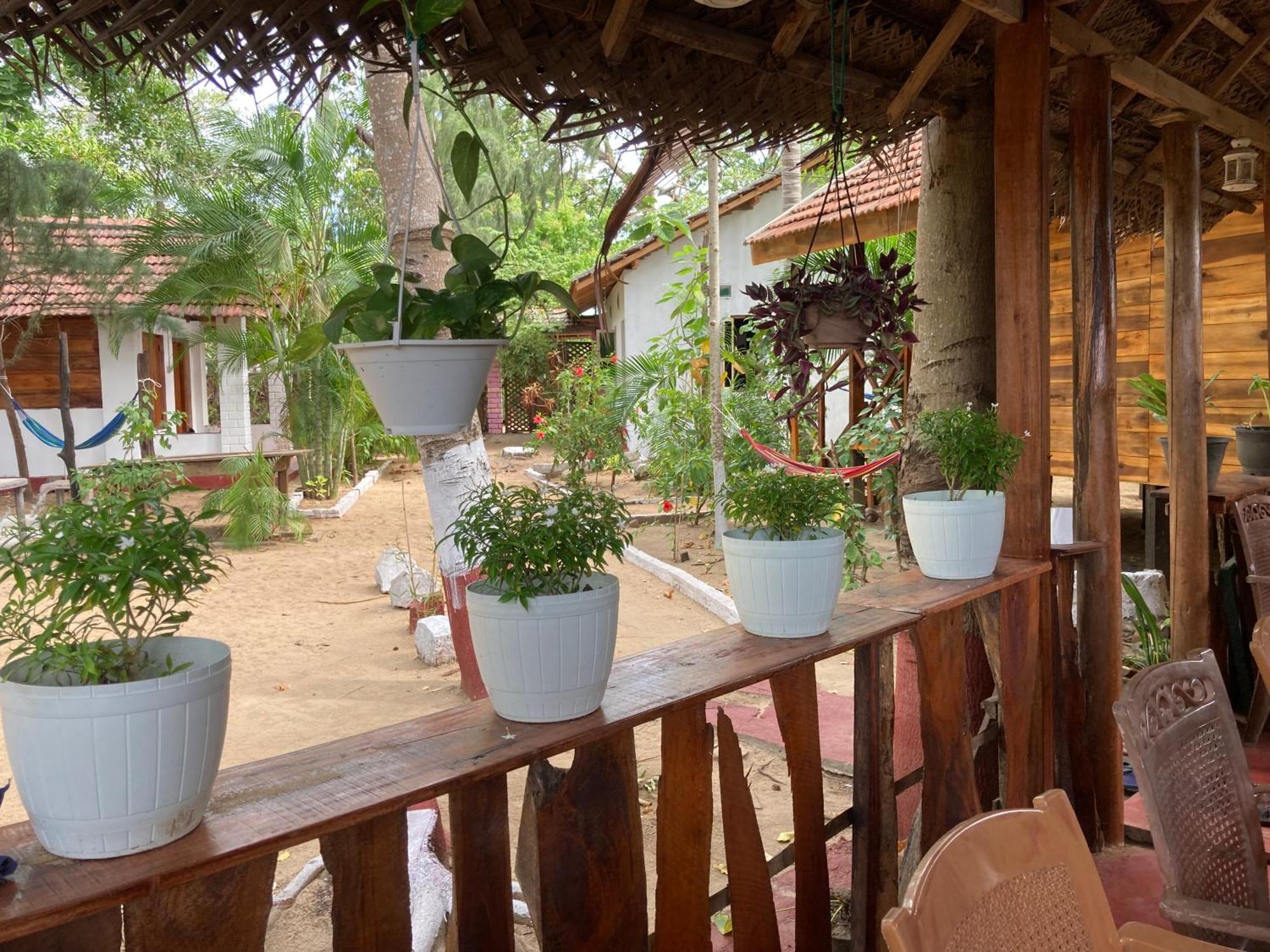 River Point Cabana At Arugambay بوتوفيل المظهر الخارجي الصورة