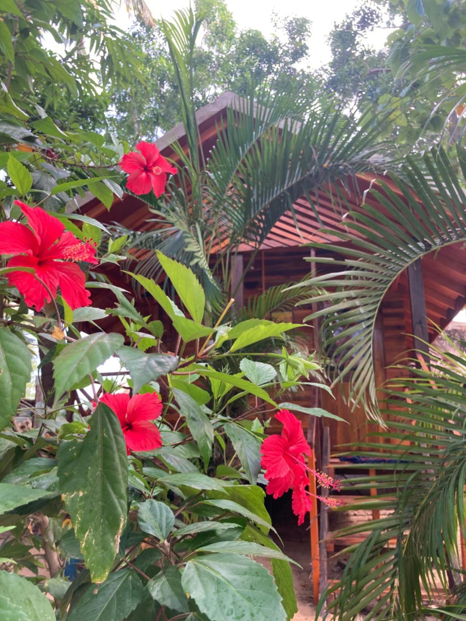 River Point Cabana At Arugambay بوتوفيل المظهر الخارجي الصورة