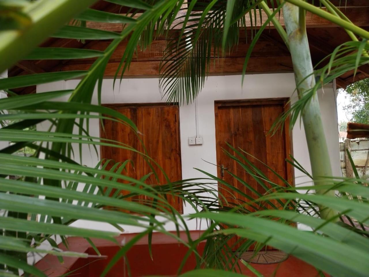 River Point Cabana At Arugambay بوتوفيل المظهر الخارجي الصورة