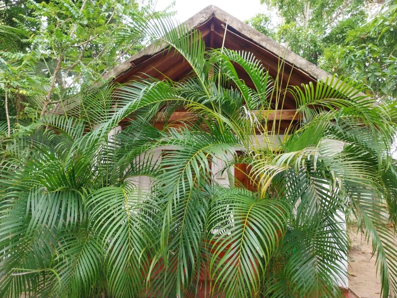 River Point Cabana At Arugambay بوتوفيل المظهر الخارجي الصورة